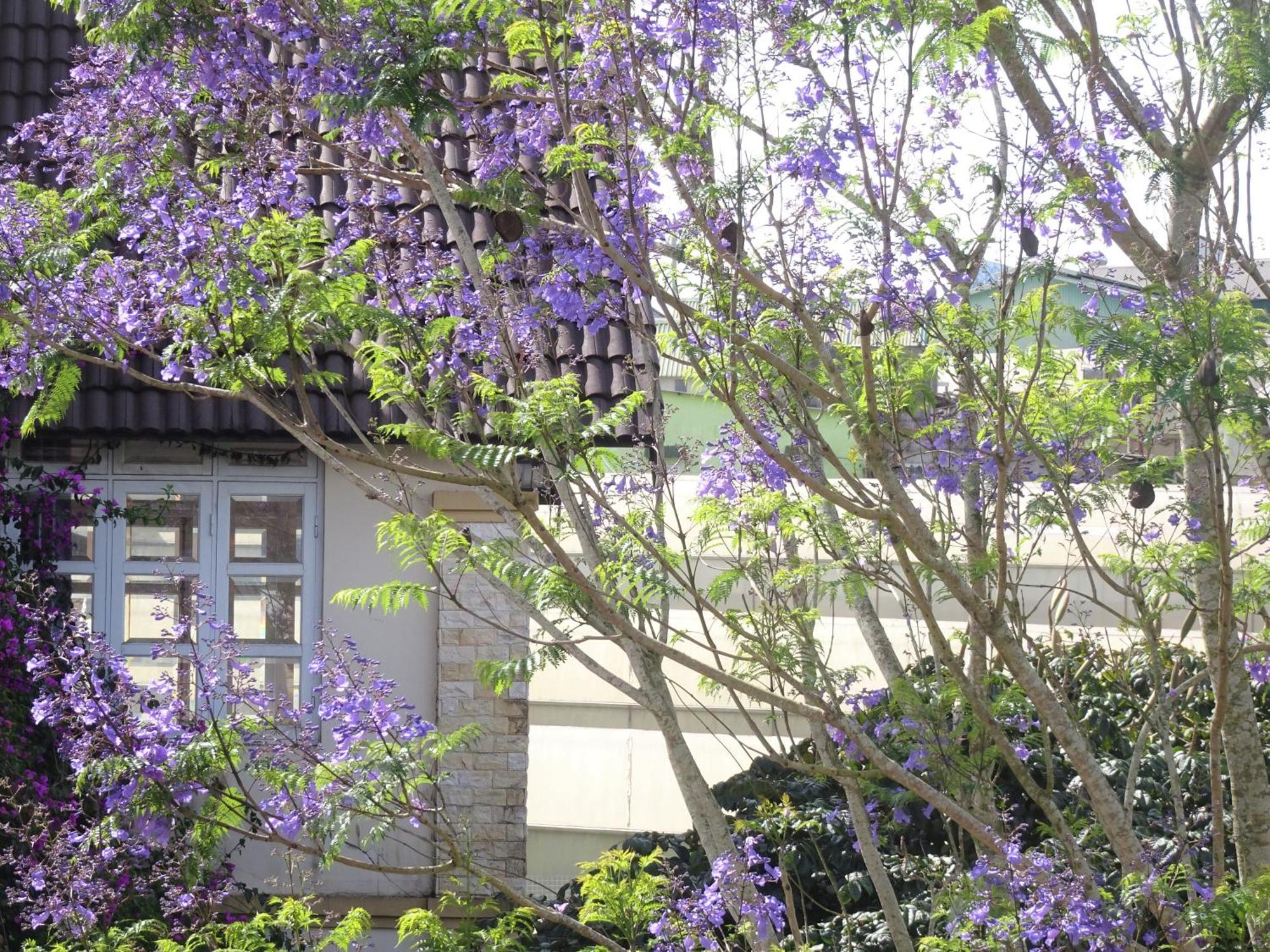 Mento Villa Da Lat Exterior photo